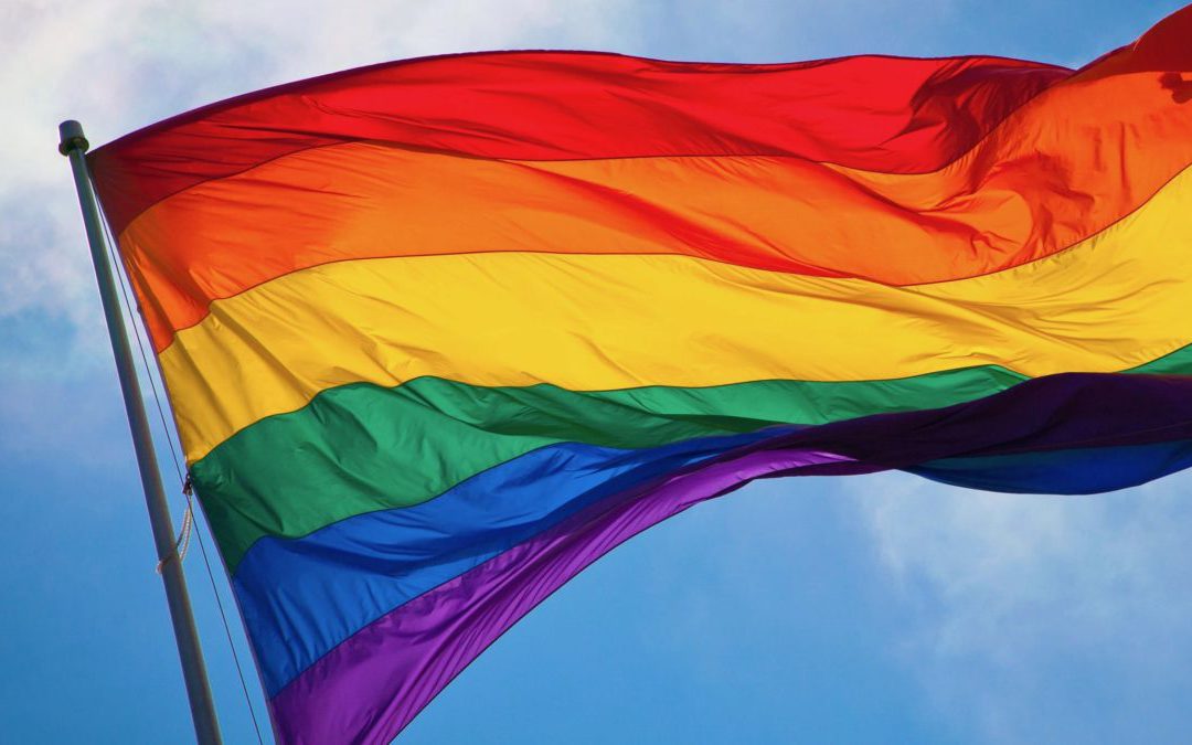 LGBT po thyen heshtjen, dalëngadalë del nga anonimiteti