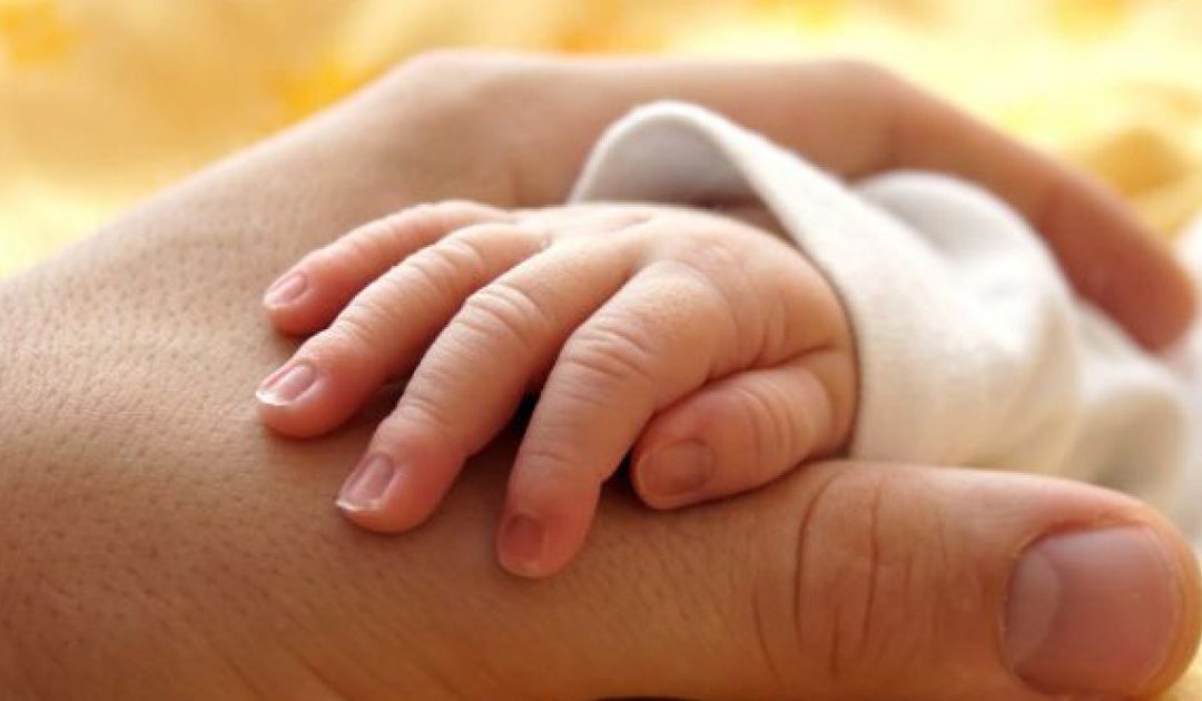 Moszgjidhja e statusit të tyre, lë shumë fëmijë të braktisur pa u adoptuar