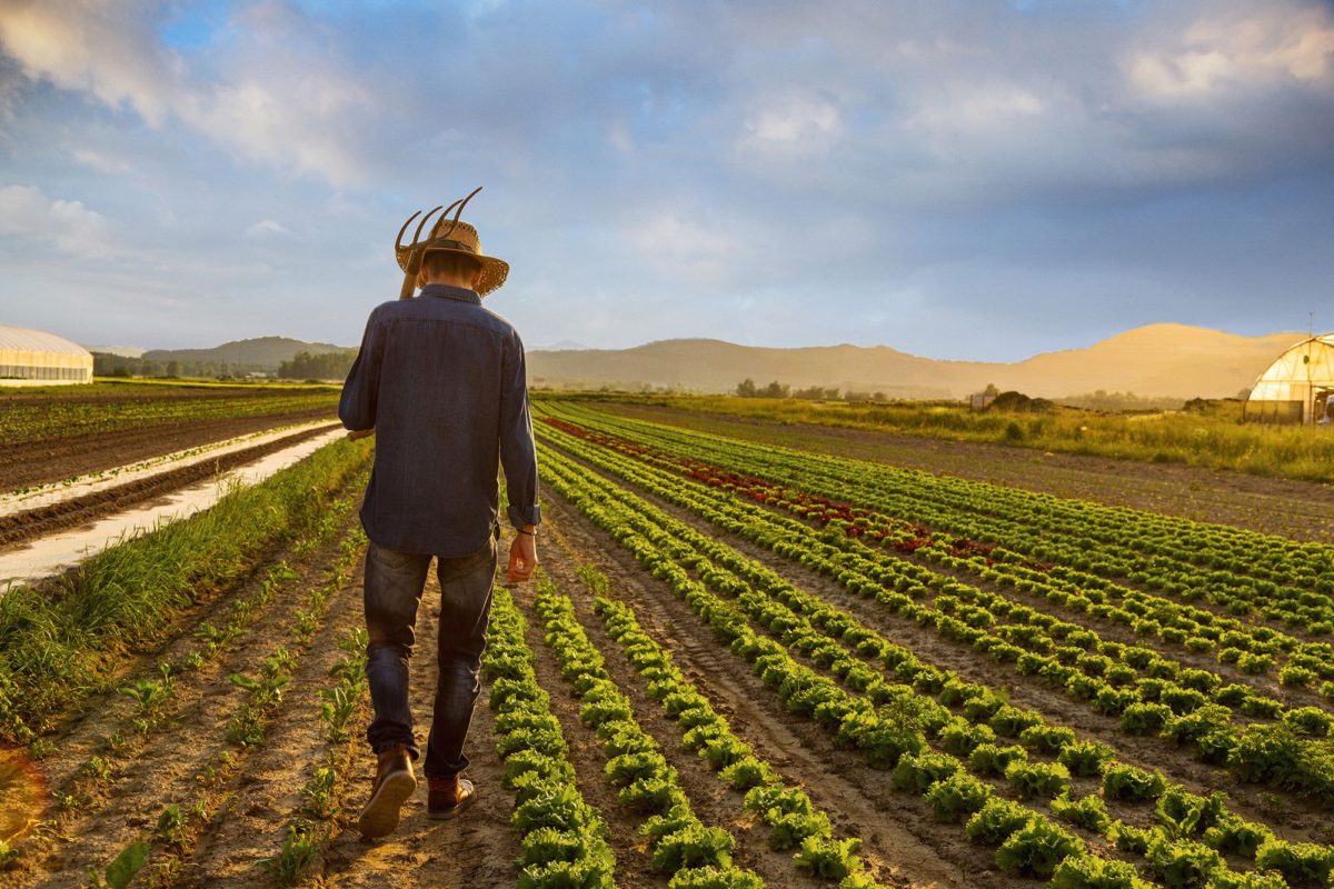 crop-farmer111