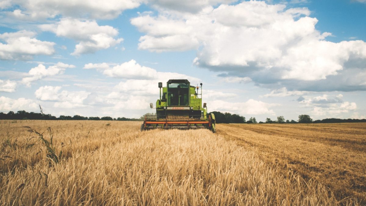 fortuneindia_2018-10_0d3e3e9d-8332-4138-bb11-956bdb3e5b51_agriculture_cereal_clouds_175389