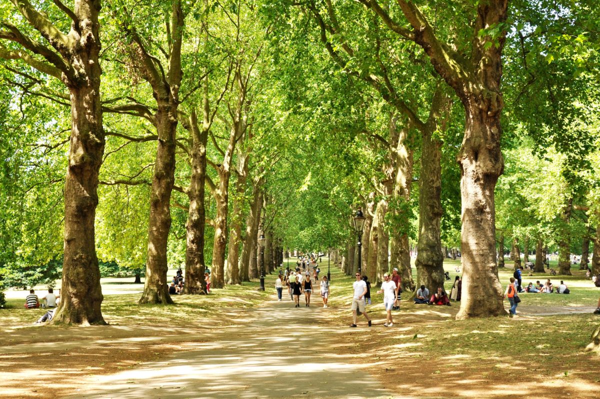 green-park-2932220_1920-scaled