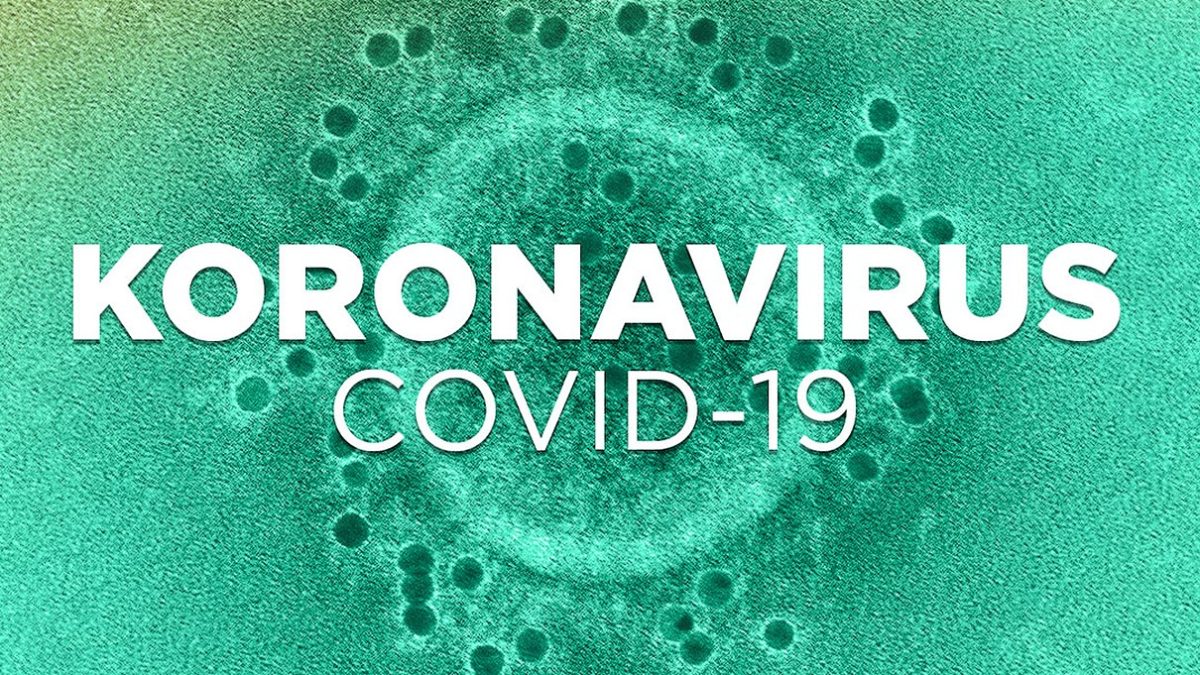 koronavirus-4.v1
