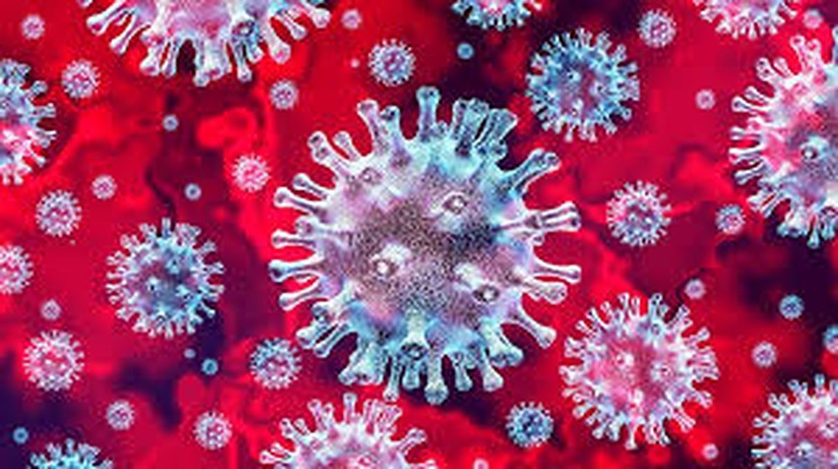 koronavirus.v1