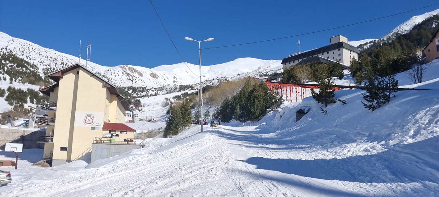 Brezovica