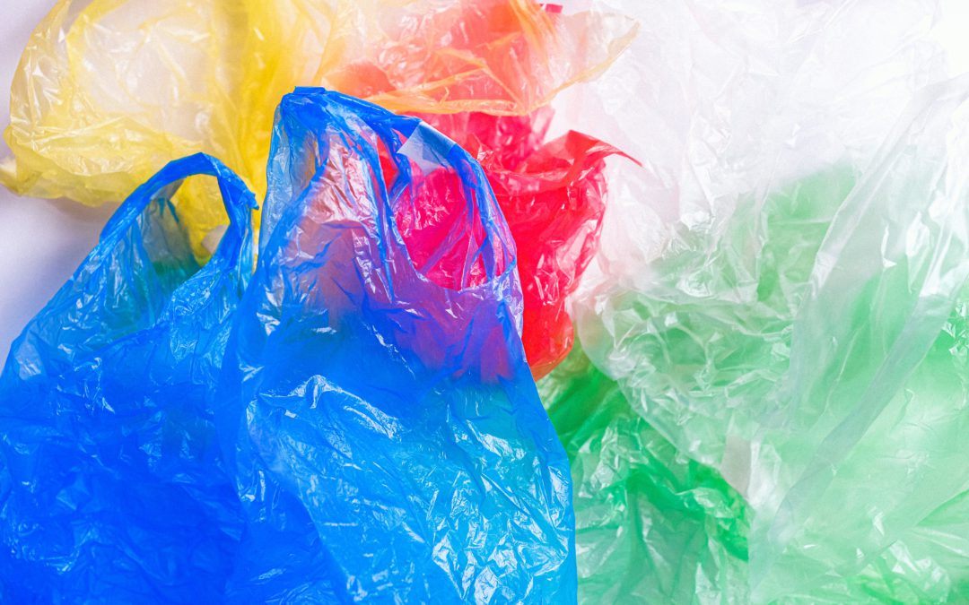 Drejt një vetëdijesimi më serioz rreth dëmit të qeseve plastike