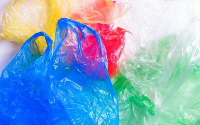 Drejt një vetëdijesimi më serioz rreth dëmit të qeseve plastike