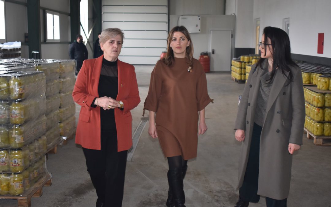 Haxhiu: Për më shumë gra në tregun e punës