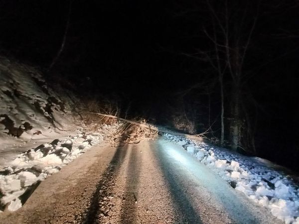 Në fshatin Bube, komuna e Zubin Potokut vendosen drujte