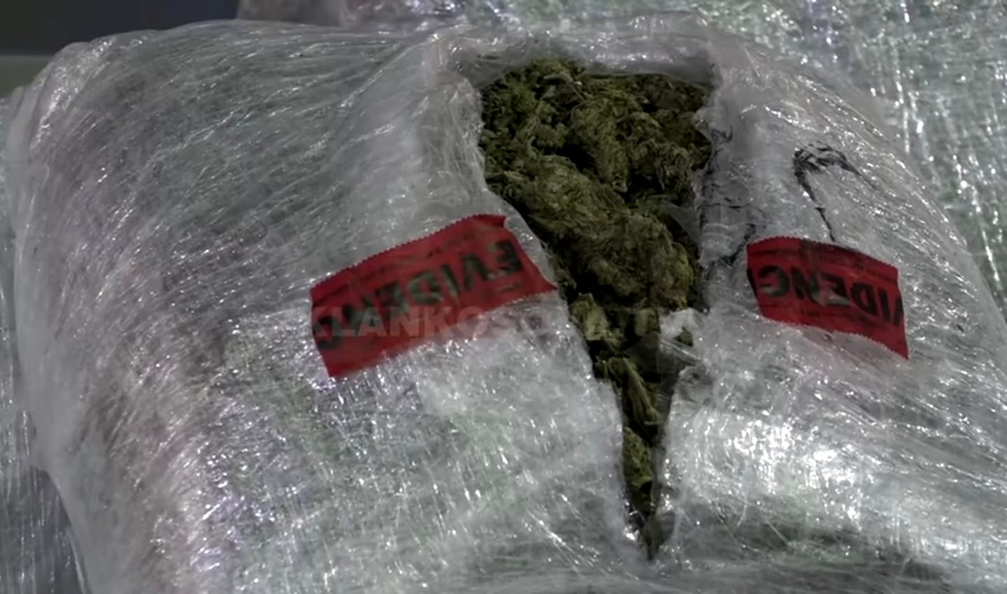 Policia-droga