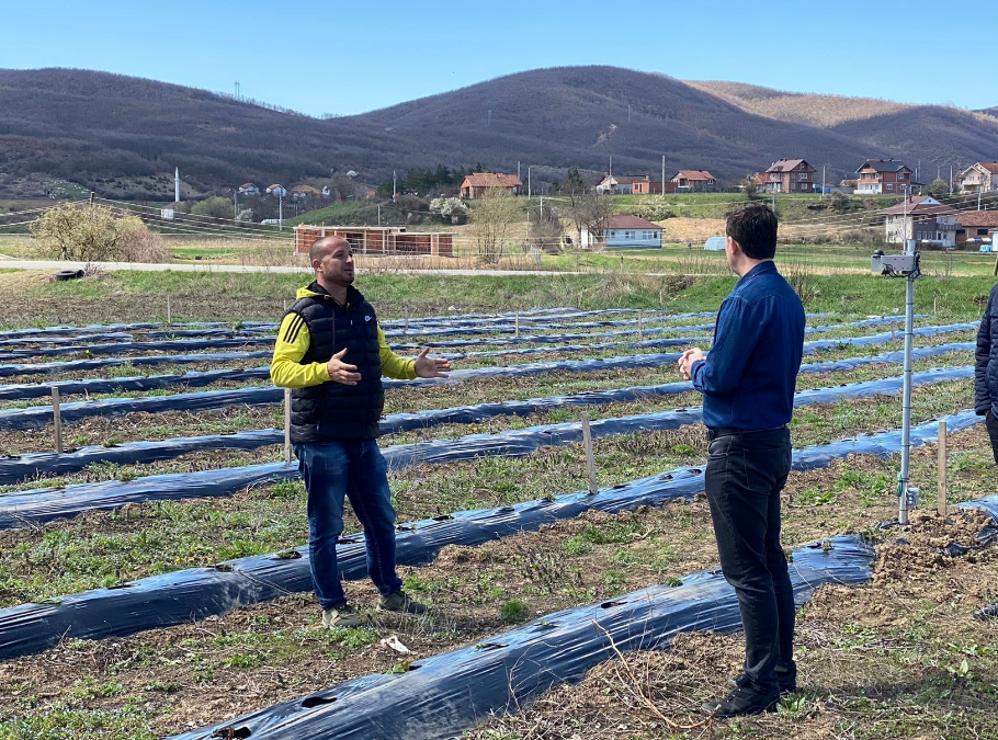 Peci: Përmes programit për pagesa direkte, rritet përkrahja për subvencionimin e mjedrës
