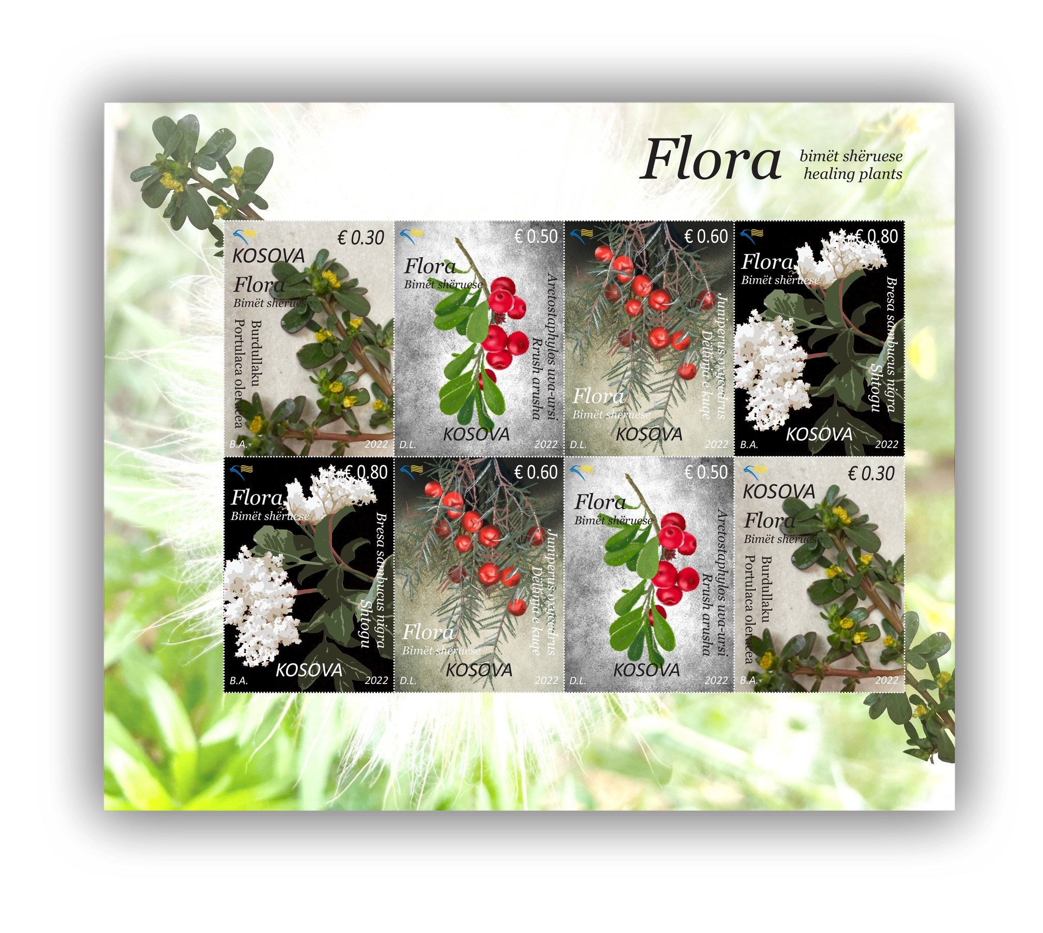Posta e Kosovës lëshon në qarkullim pulla postare të titulluar “Flora – Bimët shëruese”