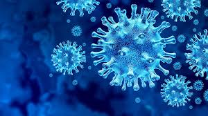 Koronavirus 1
