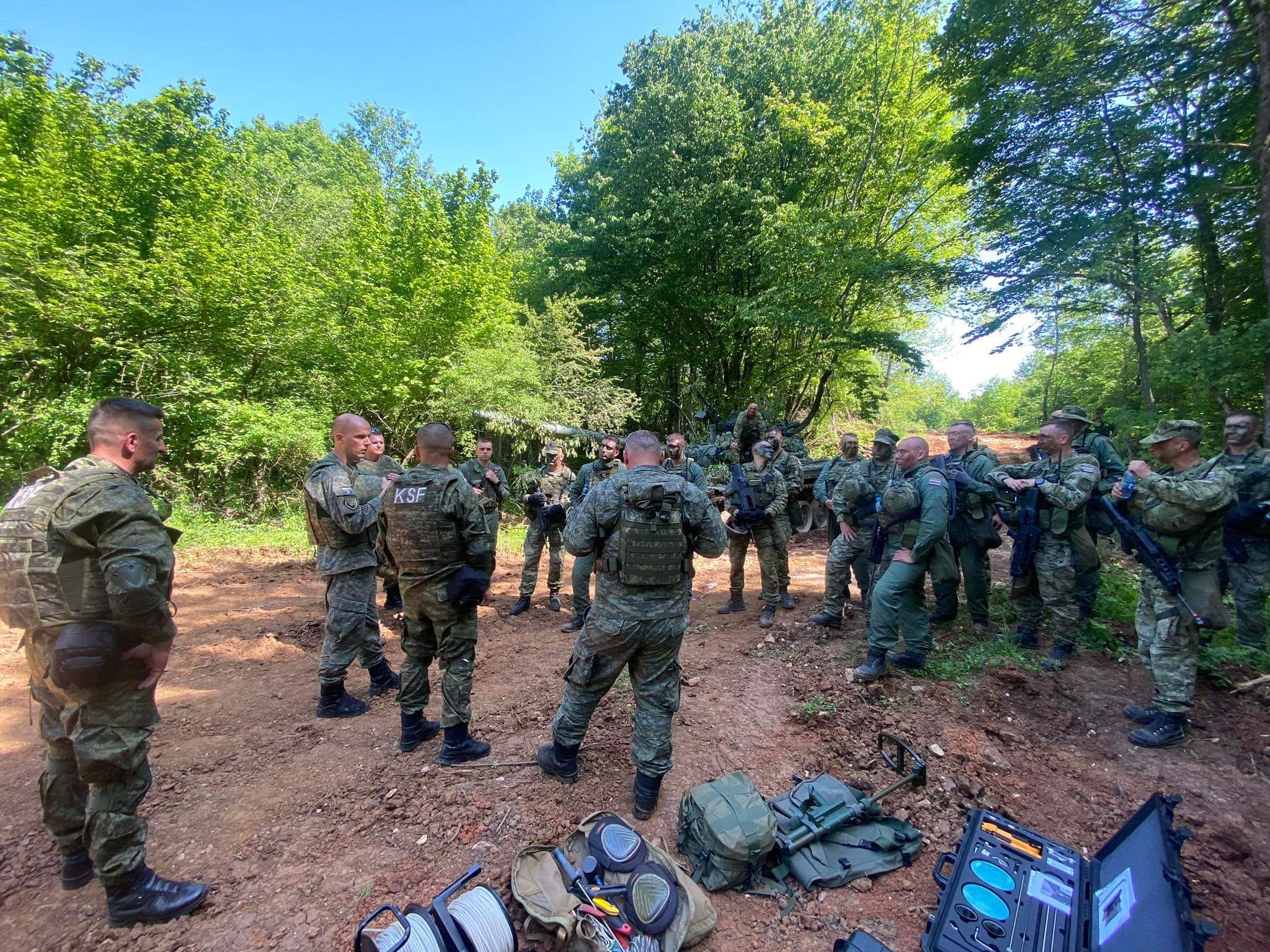 FSK-Defender Europe 23