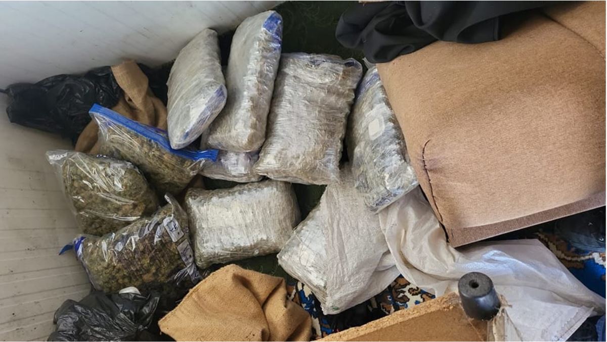 Policia-Operacioni policor “Guri”, sekuestrohen mbi 12 kg marihuanë