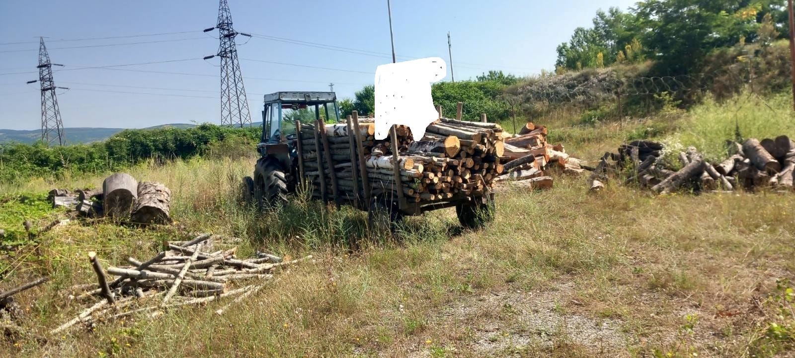 Policia-prerje ilegale të pyllit