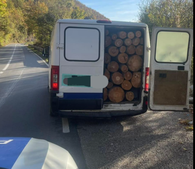 Policia-Mbrojtja e pyjeve